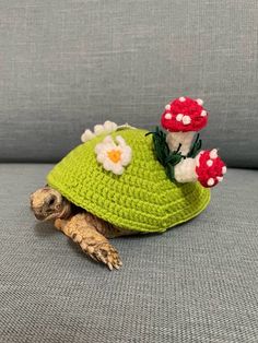 a small turtle is wearing a crocheted hat with flowers on it's head