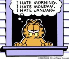 Garfield Pfp, Garfield Stuff, Garfield The Cat, Funny Orange