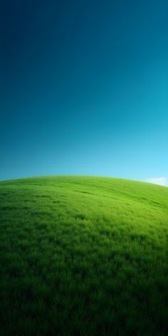 an image of a green field with blue sky in the backgrounnds