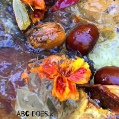 an image of some fruit that are on the ground with leaves and flowers in it