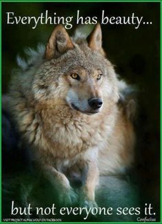 a wolf is sitting on the ground with its eyes open and it's head turned to the side