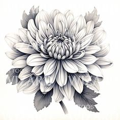 a black and white drawing of a large flower