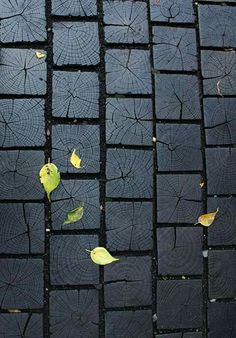 leaves are on the ground with black tiles