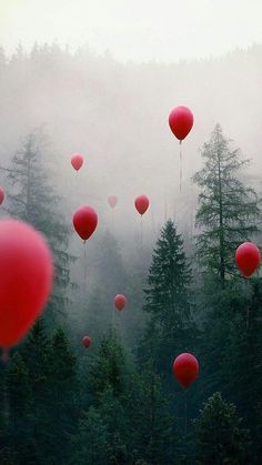 many red balloons are floating in the air near some trees and foggy forest area