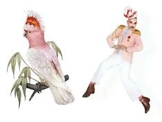 two birds with hats on their heads sitting next to each other in front of a white background