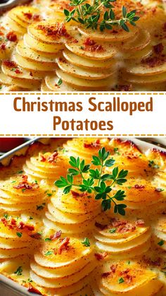 christmas scalloped potatoes in a casserole dish