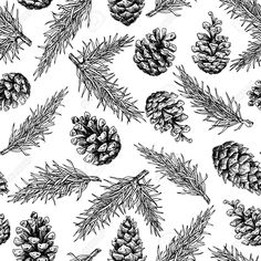 black and white pine cones and needles pattern on a white background stock photo - image