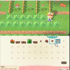 an animal crossing game being played on the nintendo wii, and it's screen shot