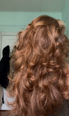 Bronze Hair Aesthetic, Natural Mermaid Hair, Strawberry Brown Hair Curly, Strawberry Curly Hair, Amber Curly Hair, Ginger Lowlights In Brown Hair, Light Ginger Curly Hair, Highlights On Auburn Hair, Dark Amber Hair