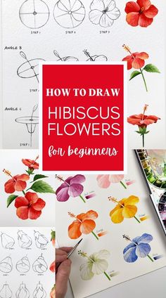 how to draw hibiscus flowers for beginners