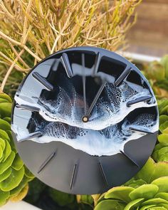 a clock sitting on top of a plant in front of some bushes and plants with water