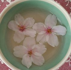 four pink flowers floating in a bowl of water