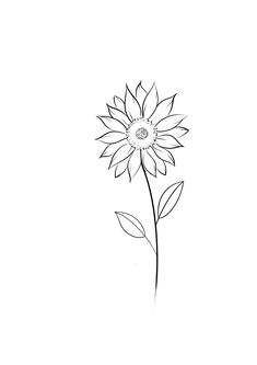 Sunflower Tattoo On Ribs, Sunflower Fine Line Drawing, Line Work Sunflower Tattoo, Outline Sunflower Tattoo, Sunflower Tattoo Ribcage, Sunflower Tattoo Ribs, Small Tattoos Sunflower, Sunflower Tattoo Design For Women, Simple Sunflower Tattoo Outline