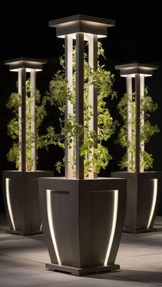 four planters with plants growing in them at night