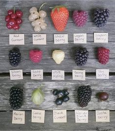 an assortment of fruits and vegetables displayed on a wooden table with labels for each fruit