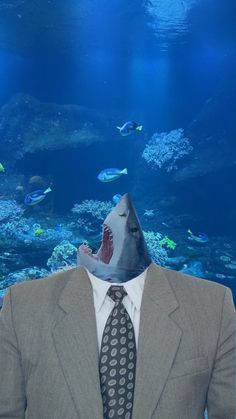 a man wearing a suit and tie with a shark mask on his head in front of an aquarium