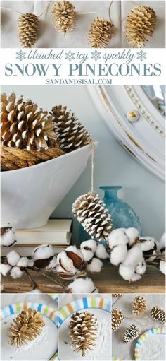 pine cones and cotton balls are arranged on a table