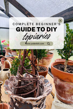 some potted plants with the words, complete beginner's guide to diy up