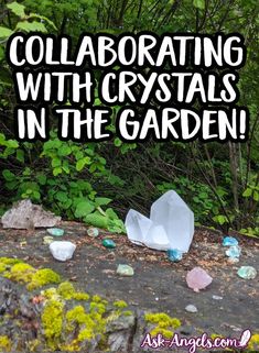 some rocks and plants with the words collabrating with crystals in the garden