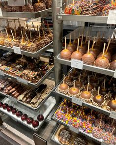 a display case filled with lots of different types of cakes and desserts on sticks