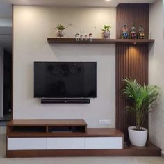 a flat screen tv sitting on top of a wooden shelf in front of a plant