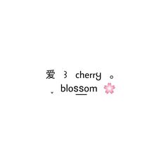 the words cherry blossom are written in chinese