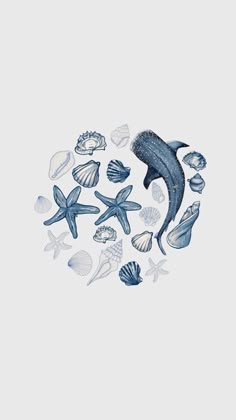 a drawing of a dolphin surrounded by shells and starfish