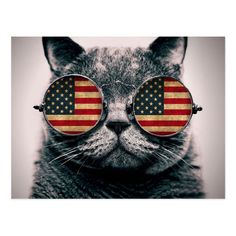 a cat wearing glasses with the american flag on it