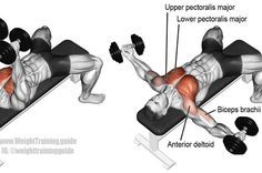 an image of a man doing bench press