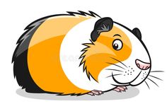 an orange and white hamster sitting on the ground with its head turned to the side