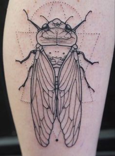 a black and white insect tattoo on the leg