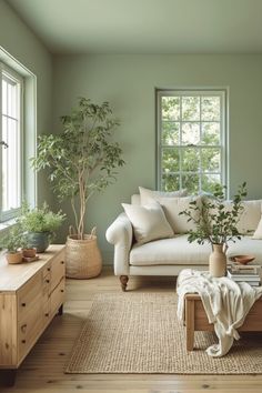 a living room filled with furniture and lots of green plants on top of the couch