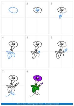 how to draw flowers step by step