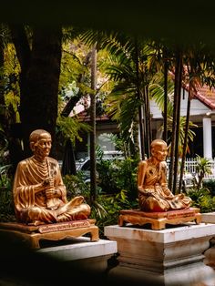 three golden buddha statues sitting next to each other in front of some trees and bushes