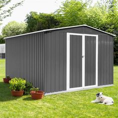 a dog laying in the grass next to a shed with two doors and one door open