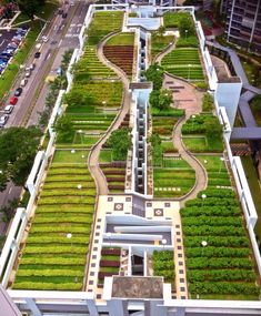 an aerial view of a garden with lots of green plants and buildings in the background