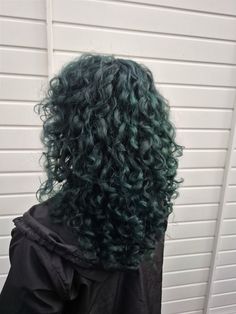 cabelo preto esverdeado cacheado shaggy Emerald Green Curly Hair, Dark Green Hair Curly, Green And Black Curly Hair, Green Hair Dark Roots, Green Hair On Brown Skin, Dyed Wavy Hair Ideas, Dark Green Hair Black Women, Teal Curly Hair, Dark Green Curly Hair