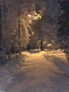 a snow covered road at night with trees on both sides