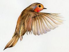 a drawing of a bird with its wings spread