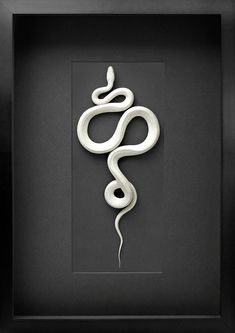 a white snake in a black frame on the wall with it's tail curled up