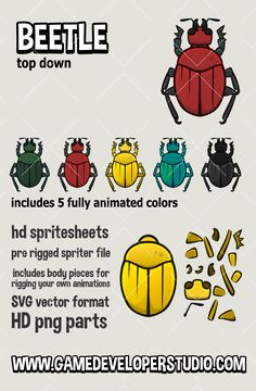 an info sheet with different types of bugs