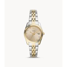 This 32mm Scarlette Mini features a gold sunray dial, three-hand date movement and a two-tone silver and gold stainless steel bracelet. Gold And Silver Watch, Fossil Watches Women, Silver Watches Women, Brown Leather Watch, Gold Watches Women, Fossil Watch, Hand Watch, Fossil Watches, Three Hands