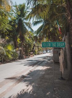 a street sign that says follow that dream on it's post in front of some palm trees