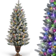 two artificial christmas trees with multicolored lights