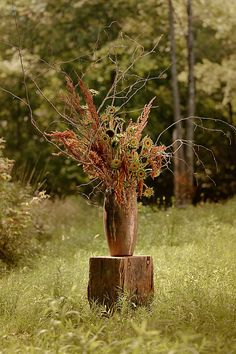 there is a vase with plants in it on the ground near some trees and grass