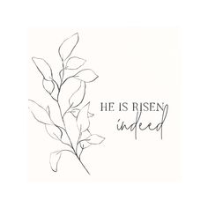 a black and white drawing of a plant with the words he is risen, indeed