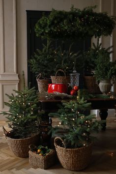 small christmas trees in baskets on the floor