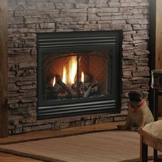 a dog sitting in front of a fire place