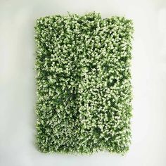 a square shaped piece of green moss on a white wall, with small flowers growing in the center