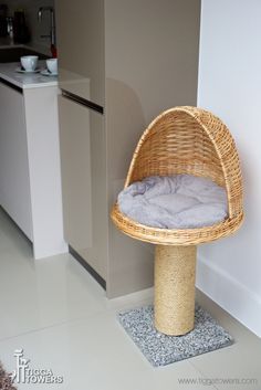 a cat bed sitting on top of a scratching post